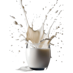Milk for Kulfa
