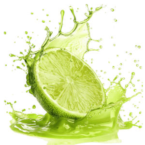 Lime Juice Soda