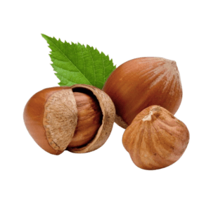 Hazelnut