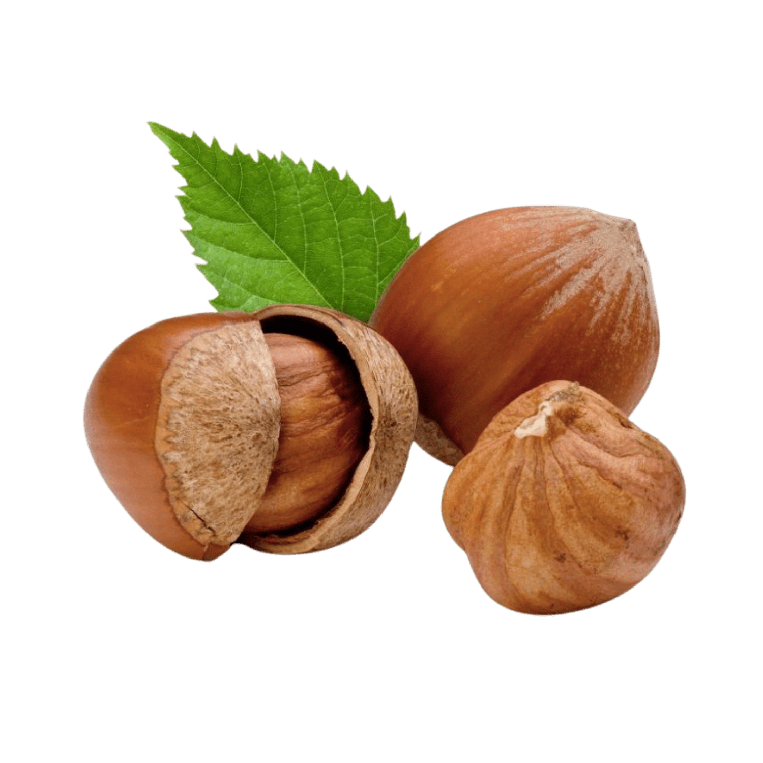 Hazelnut