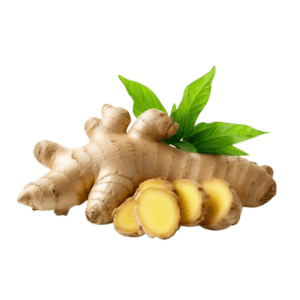 Ginger