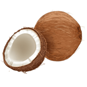 Coconut OS