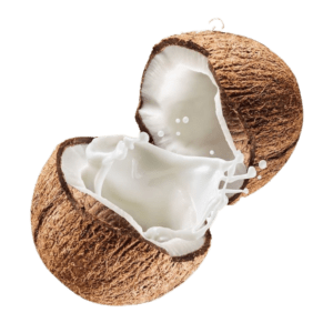 Coconut No. 1
