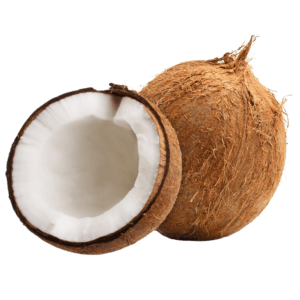 Coconut