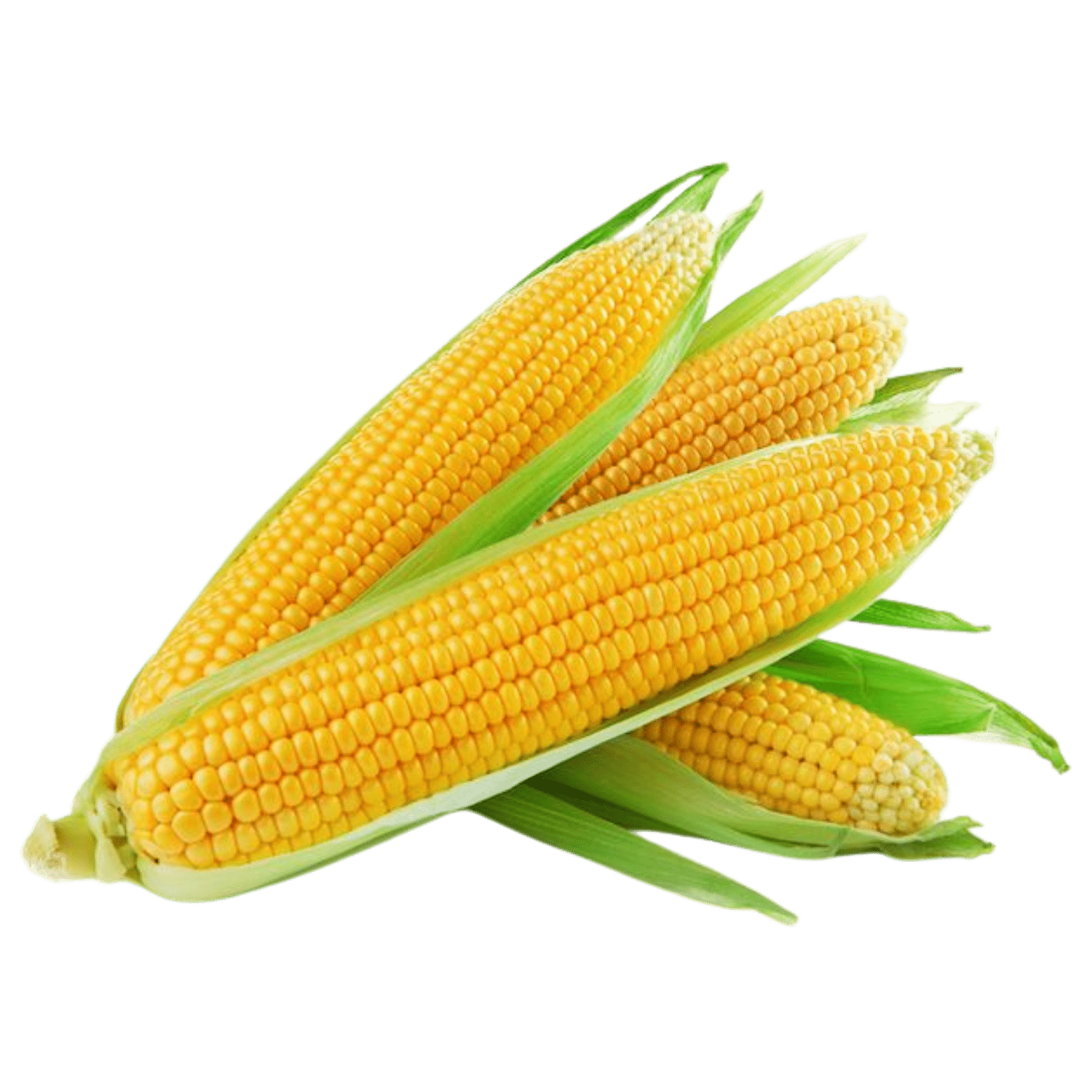 Corn - Sweetcorn