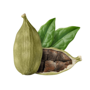 Cardamom