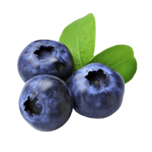 Blueberry
