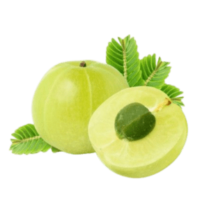 Amla