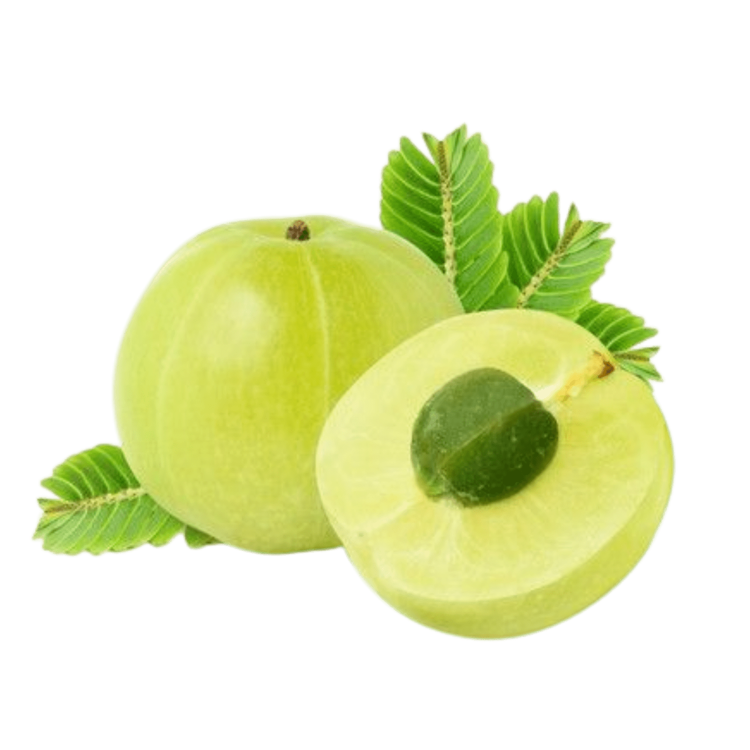 Amla