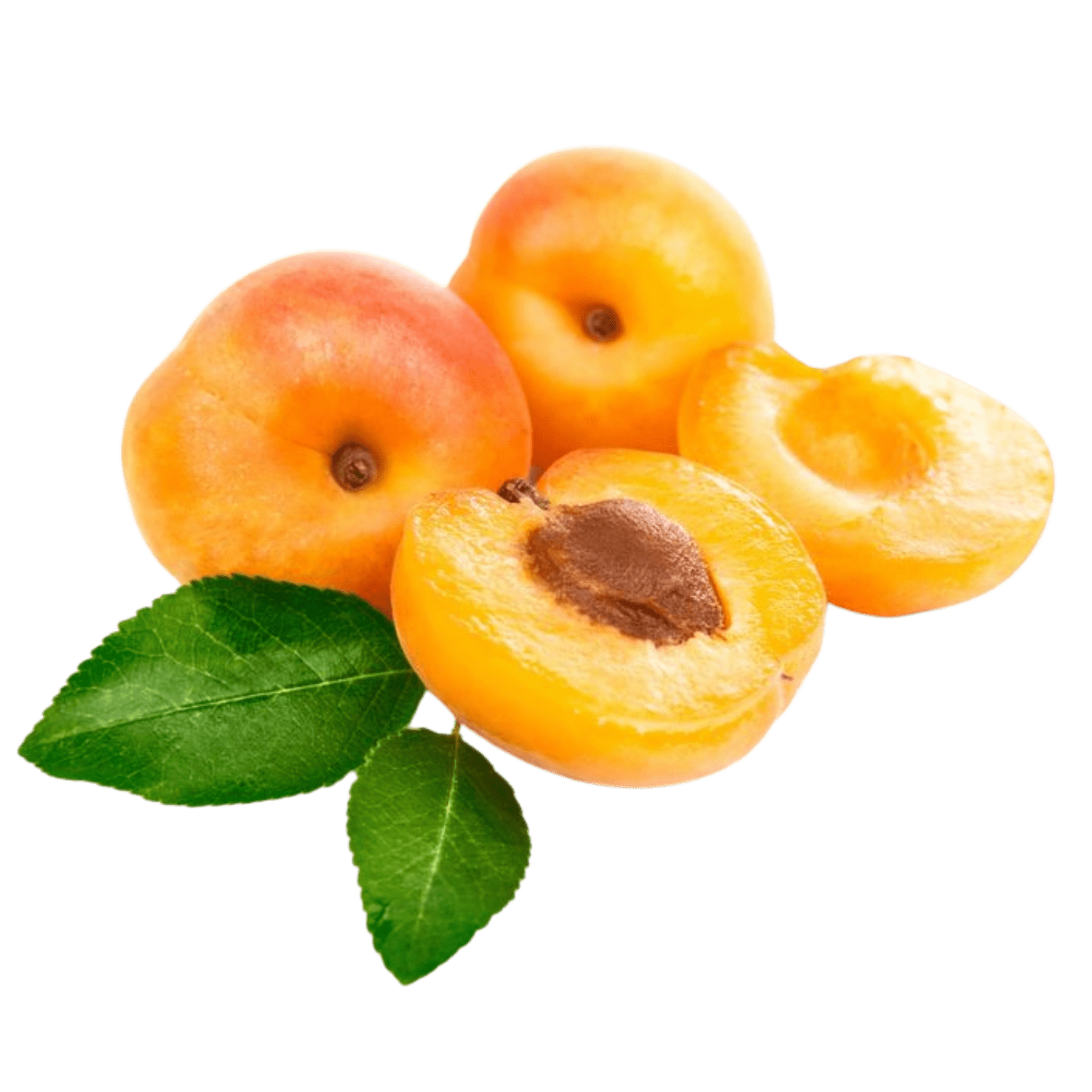 Apricot